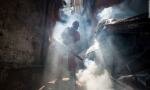 Virus Zika: possibile legame con malattie neurologiche?