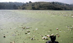 laghibatterilegambiente