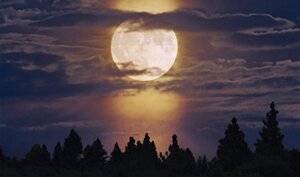 lunasonno
