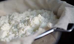 paviabambinoformaggio