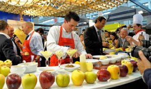 petrinisolwfoodgusto