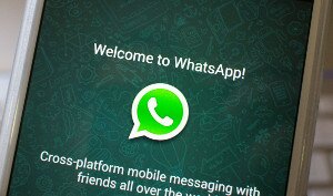 whatsappbetapdf