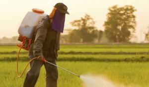 Troppi pesticidi, l'allarme di Legambiente