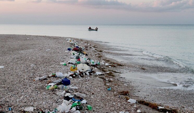 Un batterio mangia-plastica per ripulire gli ambienti marini