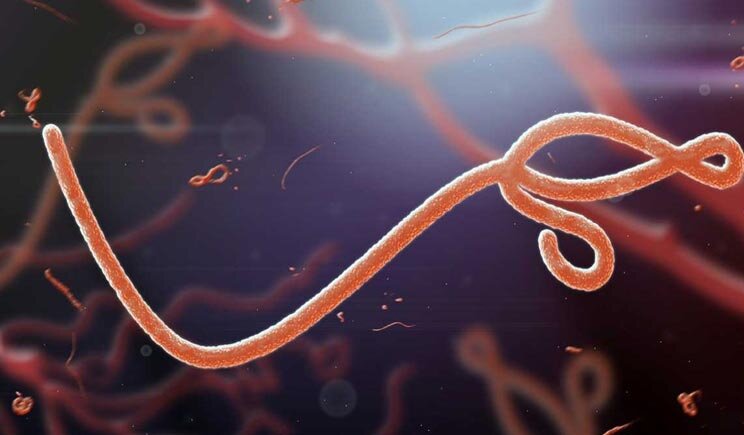 Genova: allarme Ebola, ma è “solo” Malaria