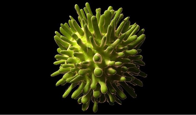 Epatite C, i nuovi farmaci saranno venduti a prezzi più bassi