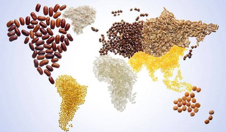 Salone del Gusto: quando il cibo unisce i popoli