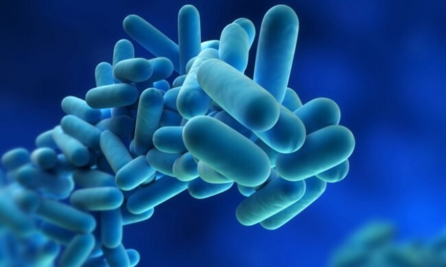 Emergenza legionella a Bresso: sei nuovi casi e un decesso