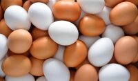 Dai gusci delle uova la plastica del futuro?