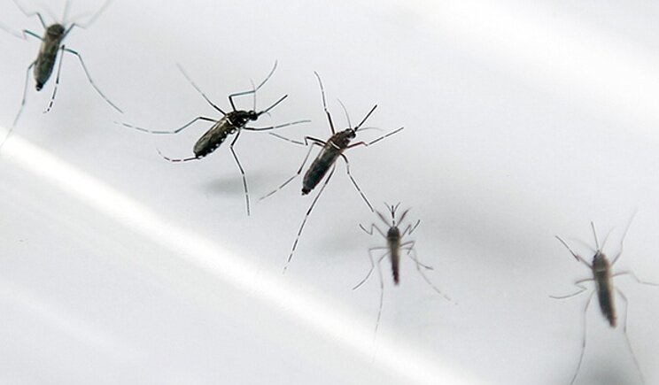 Virus Zika, accertato il primo caso di trasmissione per via sessuale