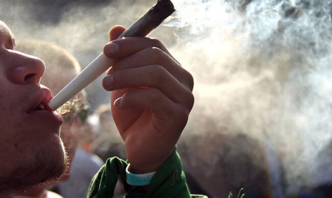 Effetti della marijuana: meno volume nella corteccia, ma maggiore connettività