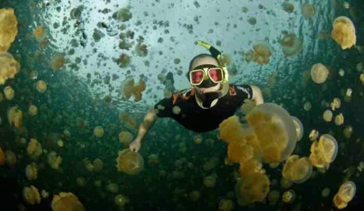 Meduse avvistate in un lago della Val d'Aosta