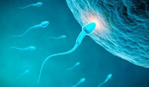 Scoperto il “motore” che muove gli spermatozoi