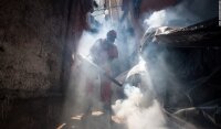 Virus Zika: possibile legame con malattie neurologiche?