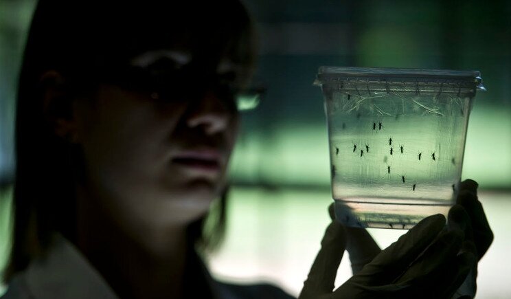 Virus Zika, in Texas il primo caso di trasmissione per via sessuale