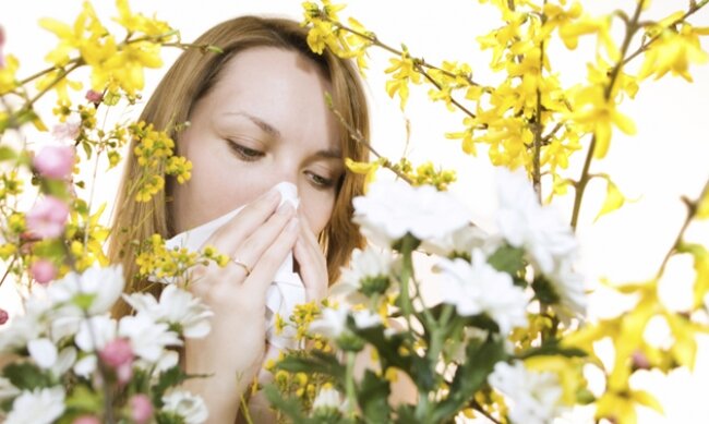 Allergie in aumento esponenziale a causa della Co2