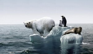 Nasa: il mese di gennaio 2016 è stato il più caldo di sempre