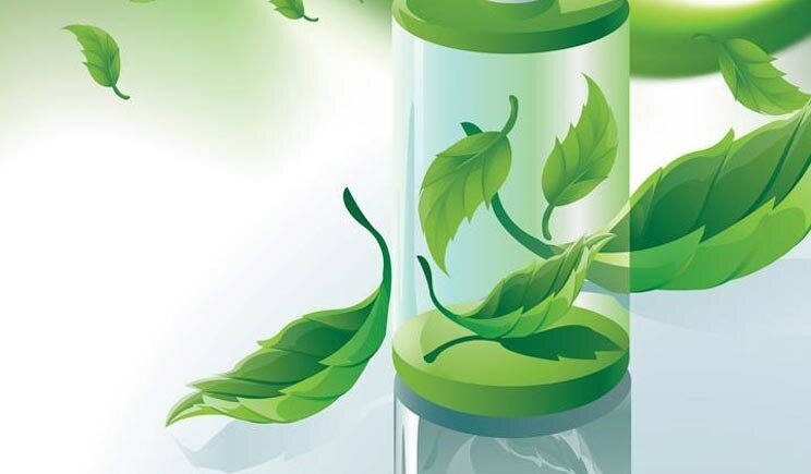 Ideate le prime batterie ecologiche al rabarbaro