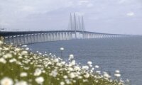 Una pista ciclabile tra Danimarca e Svezia: il futuro della mobilità verde in Europa