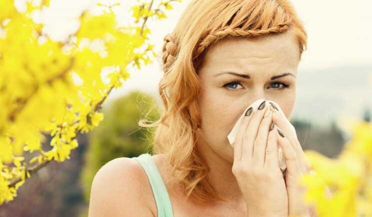 Allergie stagionali: prevista invasione di Ambrosia