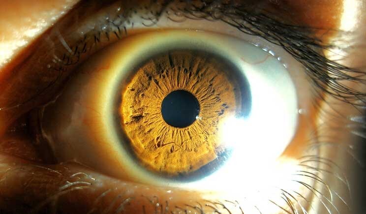 Ideato il primo cellulare con riconoscimento oculare