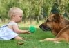 Gli animali in casa riducono il rischio di asma...