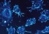 Ideata la super-proteina che blocca le metastasi tumorali