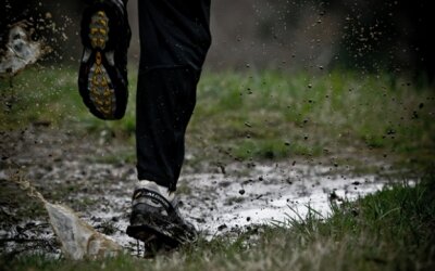 Torna la Maratona della Valle Intrasca, sfida trail dedicata alle...