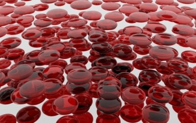 Sangue sintetico a partire dai bioreattori