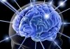 Alzheimer: svelato il meccanismo da un team di ricerca italiano