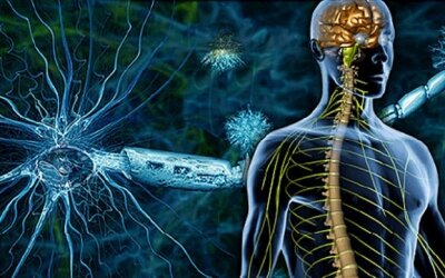 Sclerosi multipla, una proteina tra le...